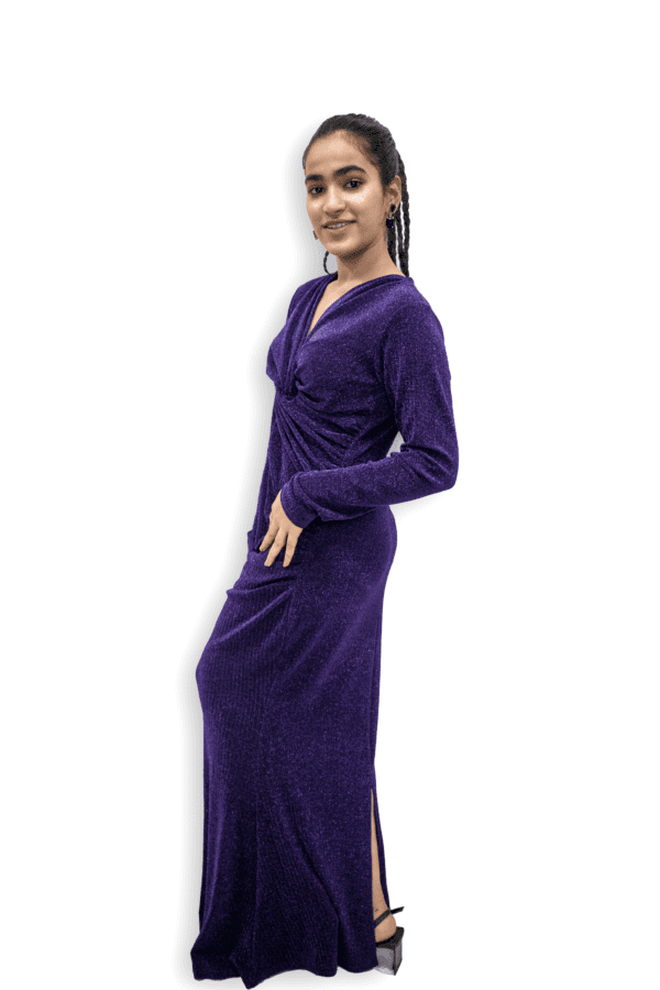 1-min (2) Shimmery Gown